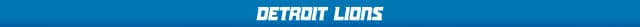 Detroit Lions wordmark